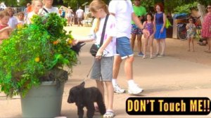 BEST BUSHMAN PRANK 2025 _ BABY GIRL HAD NO IDEA IT WASN'T REAL🙈😭