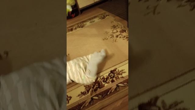 сыночка 🩷🩷🩷