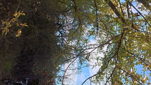 #EnduroV61 22.10.2025 #Jarvis A часть2  после дождя очень скользко