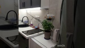 InShot_20251022_150517052.mp4