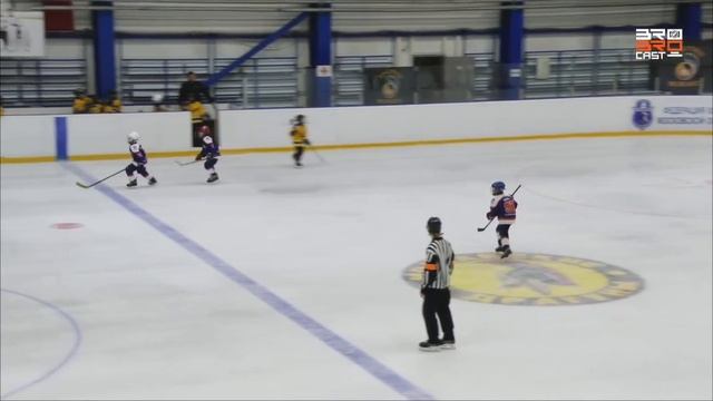 ГОЛ!!!! Перехватил и забил шайбу!!!!