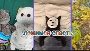 КАК МЫ УКЛАДЫВАЕМСЯ СПАТЬ 😴|ПОЗДНИЙ ВЕЧЕР С БАСИКАМИ|ЛОЖИМСЯ СПАТЬ 🥱
басики#басята#котбасик#