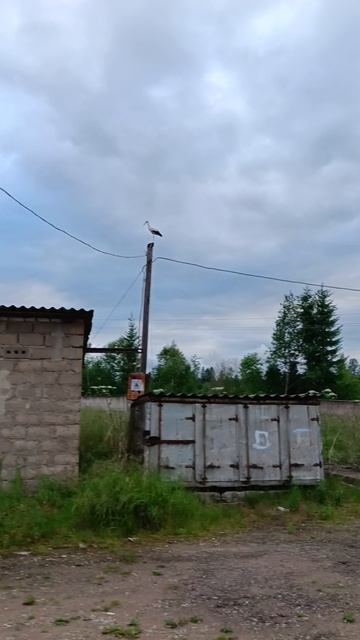 Деревенский красавчик смотреть онлайн