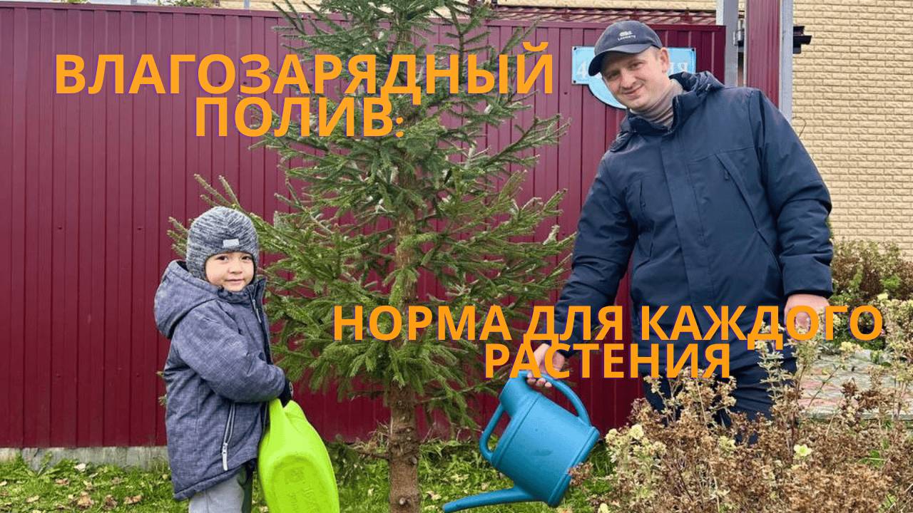 Влагозарядный полив когда, сколько и как поливать смотреть онлайн