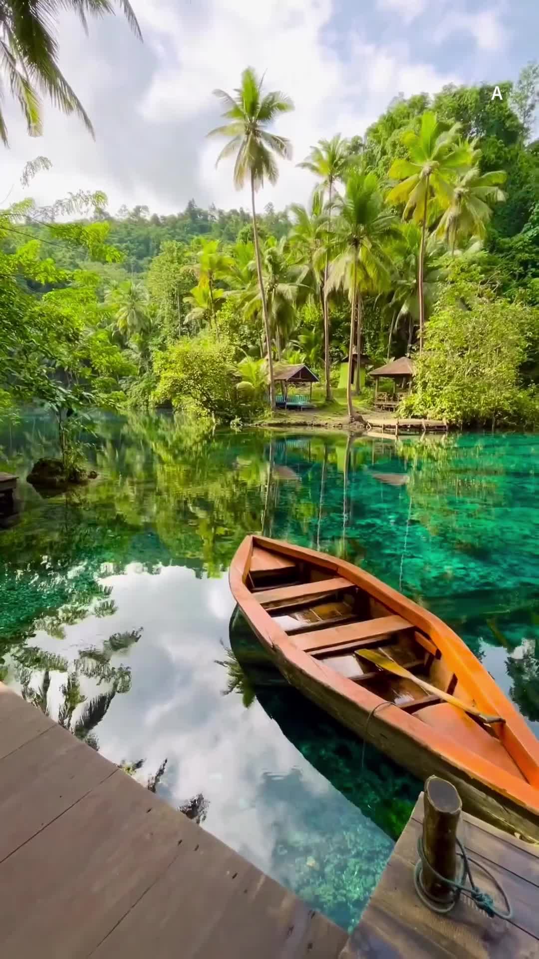 Центральный Сулавеси, Индонезия 🇮🇩 смотреть онлайн