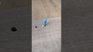 Стол обеденный Трия Промо Тип 2 Белый / Дуб Сонома Светлый