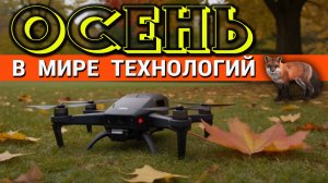 Осень в Мире технологий. Какие современные технологии можно увидеть в осеннем парке