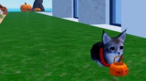 Новая обнова в игра с котятами! Роблокс