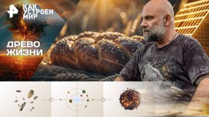 Древо жизни — Как устроен мир с Тимофеем Баженовым (22.10.2025)