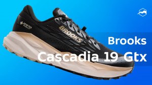 Кроссовки Brooks Cascadia 19 Gtx