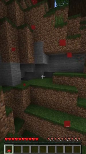 ГРИБЫ ВЫ ТУТ КАК? #shorts