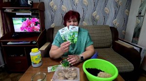 🌱 ОГОРОД НА ПОДОКОННИКЕ! Сеем Огурцы в октябре!! Какие сорта выбрать и как подготовить почву!!