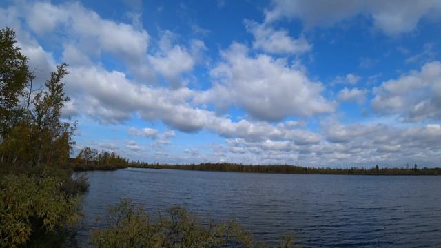 Закрытие сезона жидкой воды 2025!ловим щук. смотреть онлайн
