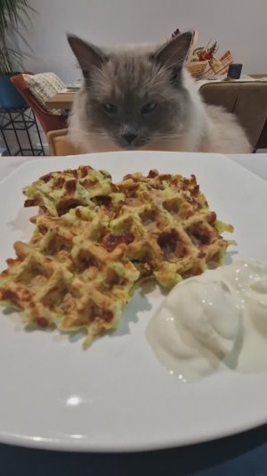 ЛУЧШИЙ ЗАВТРАК- ОЛАДЬИ ИЗ КАБАЧКОВ!