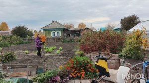 22-10-2025 подготовка огорода к зиме