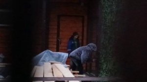 часть 2 Посторонним вход строго воспрещен или все же кому-то можно 21.10.2025 видео от опекуна Светл