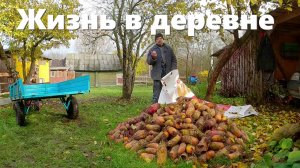 Не знаешь за что хвататься: наверстываем выпавшую неделю! Жизнь в деревне