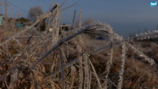 СРЕДА через объектив (22.10.2025) смотреть онлайн