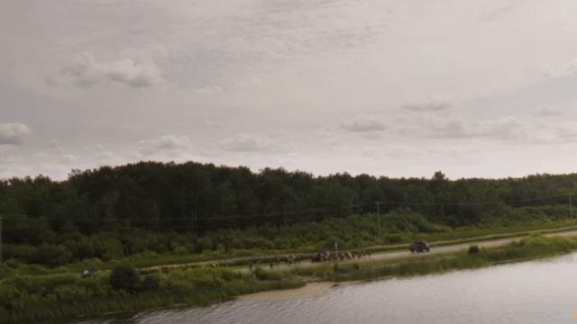 Долгая прогулка (2025) . Триллер , драма . США . Трейлер смотреть онлайн