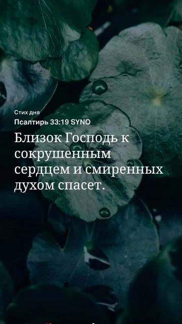 #Слово на 22.10 #библия #псалом смотреть онлайн