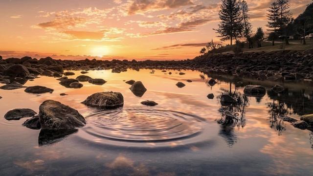 Нежный сон.