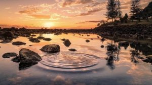 Нежный сон.