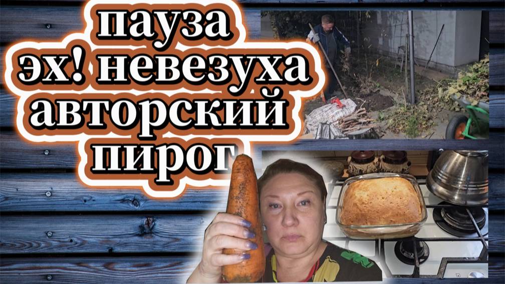 162-25! БЕРЁМ ПАУЗУ/РОЗОВОЕ МАСЛО/ВЫКОПАЛИ ВИНОГРАД/САД/НЕВЕЗУХА/МОЙ ПИРОГ/ГИГАНТ 🥕🥕🥕