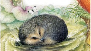 Сказка Колобок - колючий бок. В.Бианке