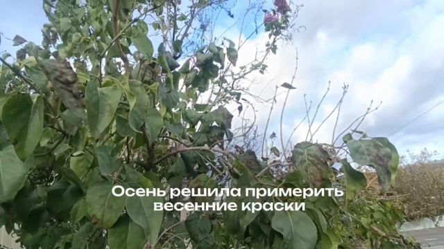 Хаос в жизни - это не проблема, а твоя не использованная сила