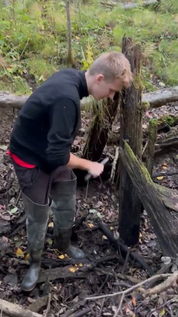 Нетронутые блиндажи #ww2 #shortsvideo #shortsrutub #digging смотреть онлайн