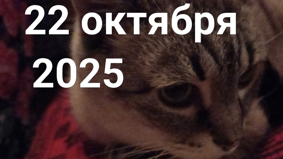 22 октября 2025. Завтрак перед рассветом. смотреть онлайн