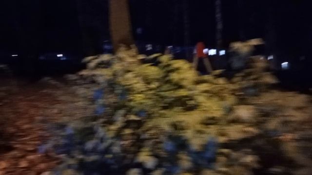 #1 Вечерняя прогулка.  Россия. Тульская область.