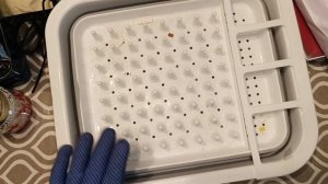 👞🧐Обзор находок 🤓Часть 1📢