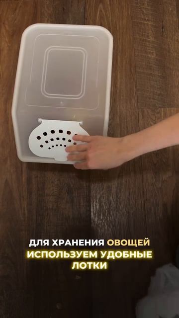 vremya.poryadka_1720272610_3406215666669643363_4788285913 смотреть онлайн