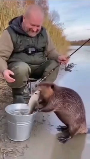 Поймал рыбу- делись!