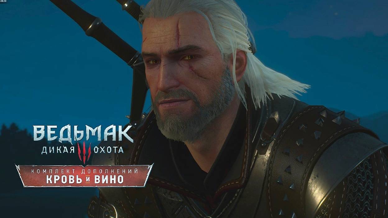 The Witcher 3 Blood and Wine #12 (И жили все долго и счастливо)