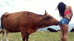 ✅ ПРИКОЛЫ С ЖИВОТНЫМИ — ЛУЧШЕЕ ЗА 2025 ГОД! 🐾😂