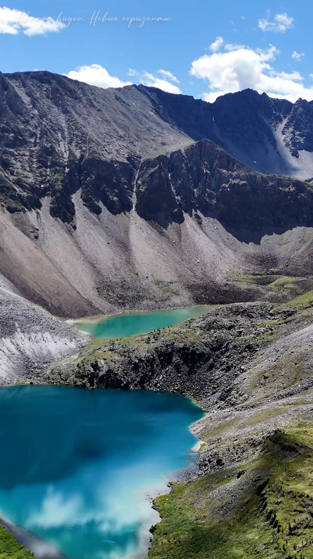 Шумак | 11 дней в дикой природе | Большое видео уже на канале