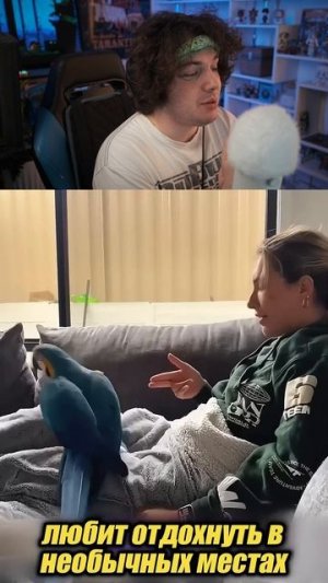 😱ПОПУГАЙ ПОДРУЖИЛСЯ С НОВЫМ ТОВАРИЩЕМ!!!