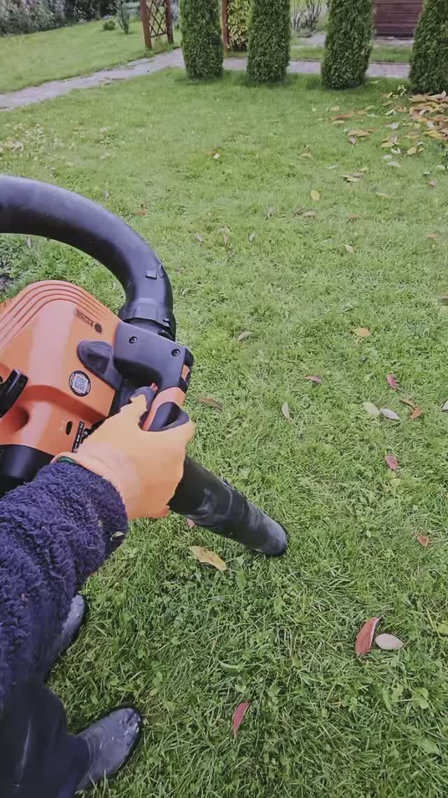 Воздуходувка пылесос Daewoo DABL 300 смотреть онлайн