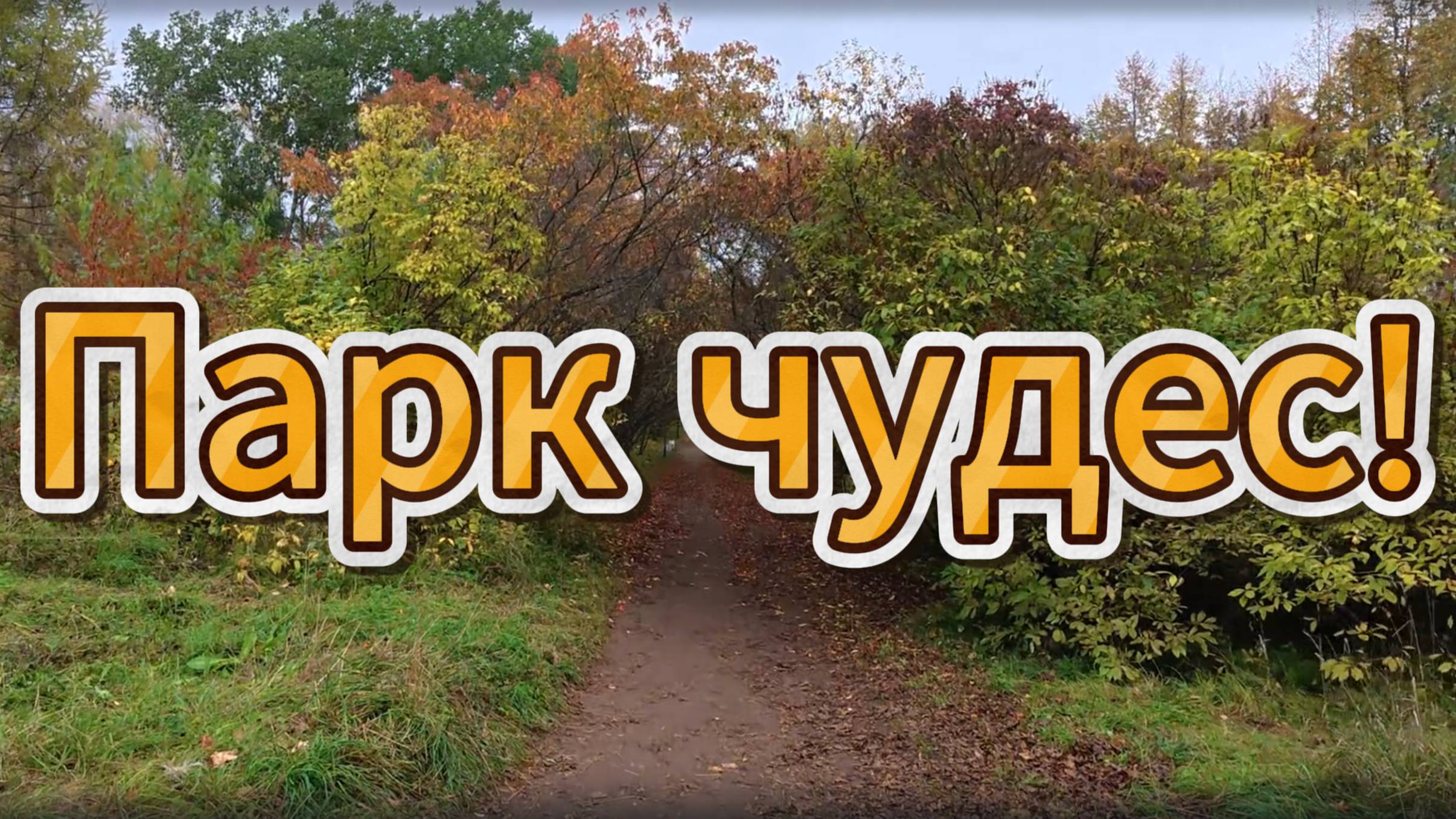 Прогулка по осеннему дендропарку смотреть онлайн