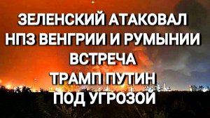 ТАМИР ШЕЙХ / СЕРГЕЙ ЕГОРИН. ЗЕЛЕНСКИЙ АТАКОВАЛ ВЕНГРИЮ И РУМЫНИЮ ВСТРЕЧА ТРАМП ПУТИН ОТМЕНА?