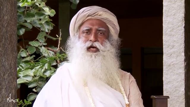 Стоит ли становиться донором органов? смотреть онлайн