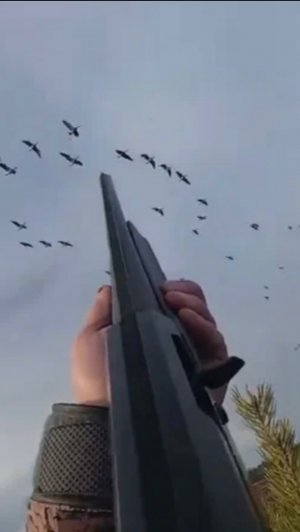 В ночь на гуся, но видимо он у нас уже пролетел-не теряем надежды)