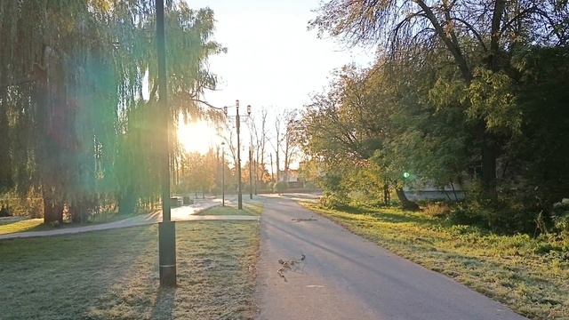 Очень красивая природа 🍁🍁🍁🍁🍁🍁🍁Риччи и Лорд 🐶🐶Лорд после операции 🐶 смотреть онлайн