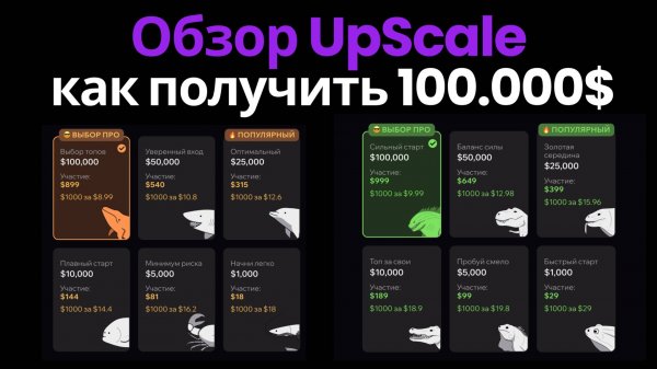 Обзор UpScale от А до Я. Инструкция как получить до 100.000$ на Проп-Трейдинге в Криптовалюте