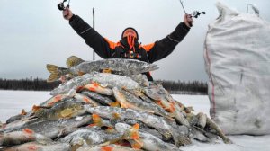 500кг С ОДНОЙ ЛУНКИ😱!!! ЭТО РЕАЛЬНО!!? Рыбалка по первому льду 2025-2026г.