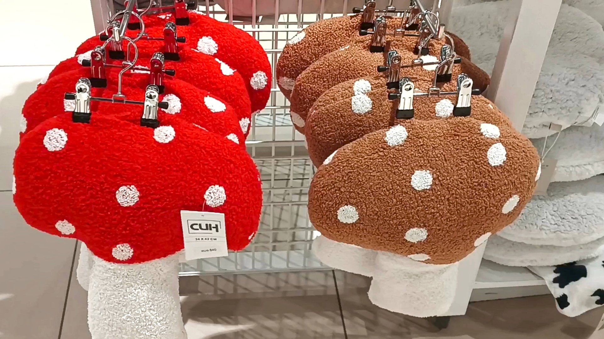 🍂🦔СИН🍄ДЛЯ ДОМА🍂 смотреть онлайн