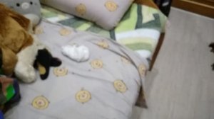 тонировка на аккуратность кофемолка пика и моем маленьких капиборят