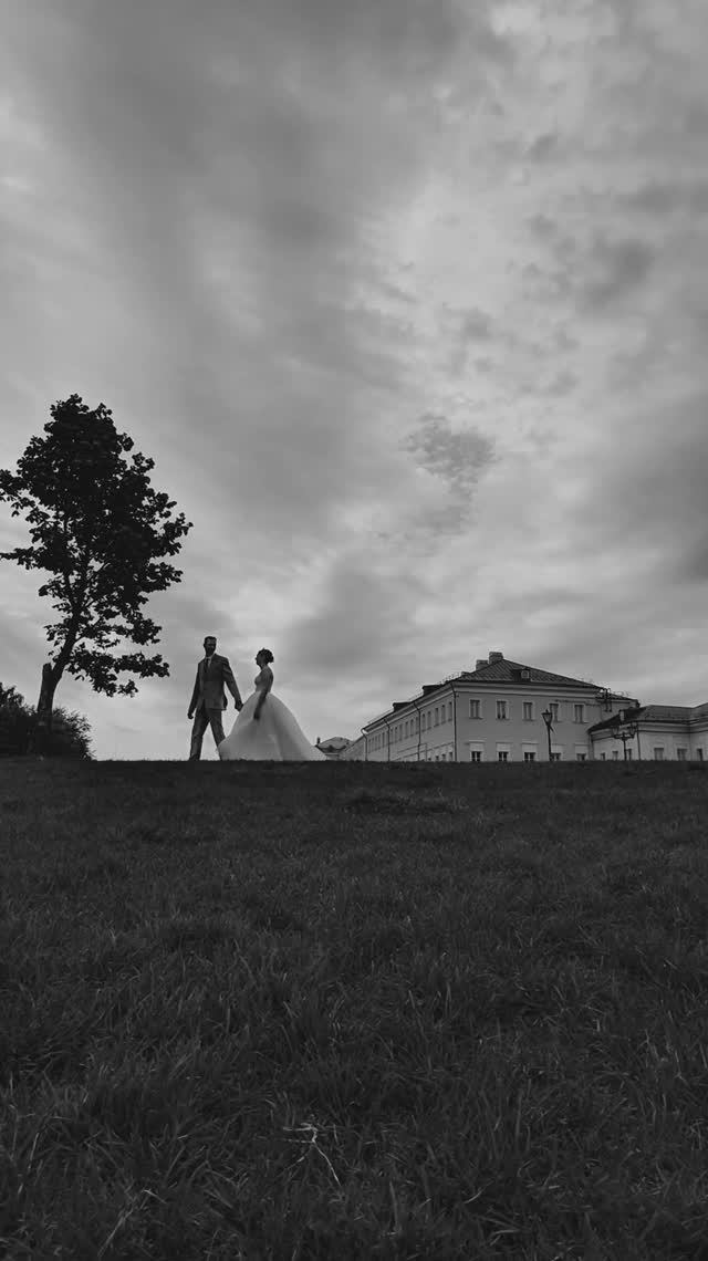SDE Wedding 01.08.25 смотреть онлайн
